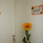 La Casa Di Diana Bed & Breakfast